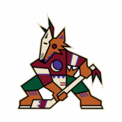 Arizona Coyotes